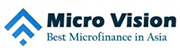 Micro Vision