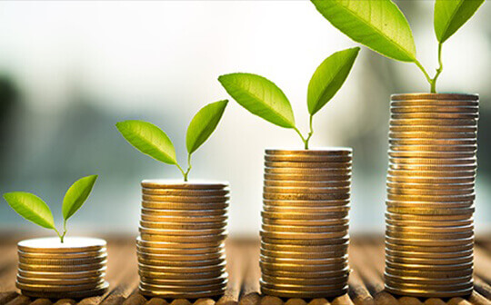 Microcredit System Software