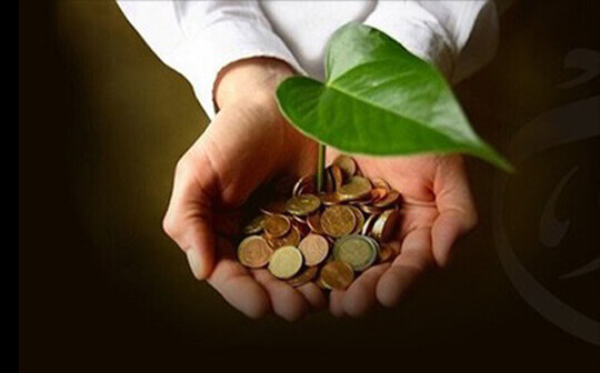 Microcedit Loan software